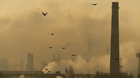 Silhouettes of black crows flying against a large smoking chimney and industrial factory background. Heavy smog and air pollution at sunset or dawn. Environmental problem concept. - Powered by Shutterstock - Get 15% off with code: PIKWIZARD15