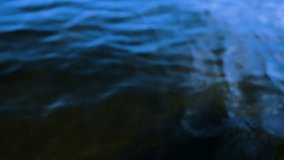 Slow motion closeup POV from a kayak gliding on rippling bay water reflecting the blue sky with visible plant life below the surface as light shifts from bright to dark underwater. - Powered by Shutterstock - Get 15% off with code: PIKWIZARD15
