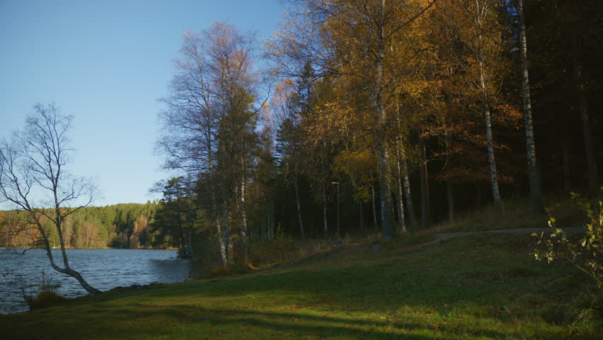 Wide shot of trees with yellow leaves at the edge of a lake in Oslo, Norway