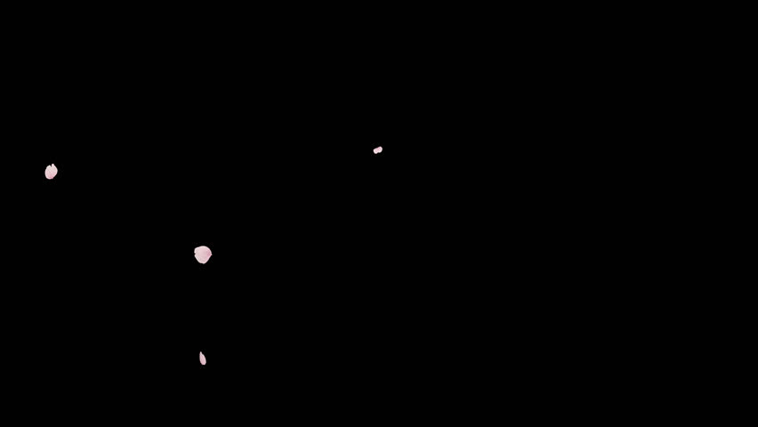 Cherry Blossom Falling 2 Pack Alpha Loop. 3D render. Two elegant cherry blossom clips loop gently with transparent alpha flow.