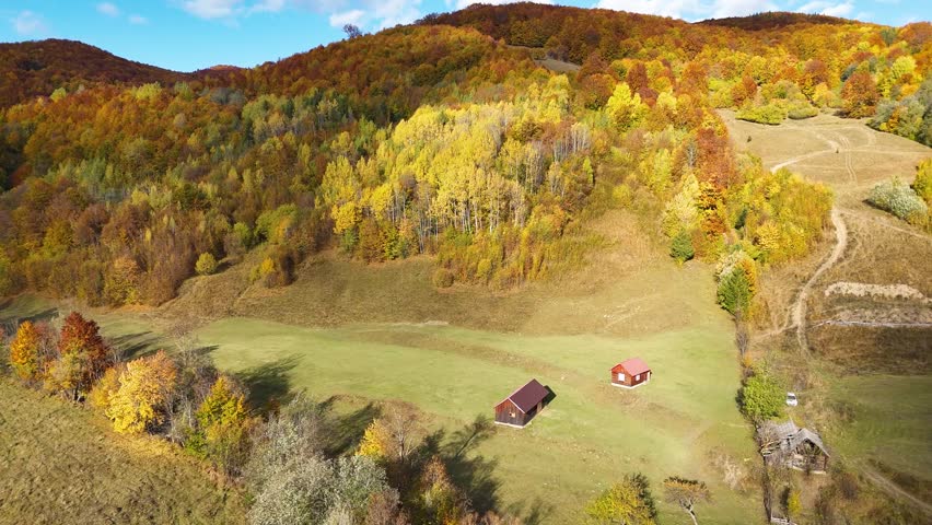 Drone footage of small cabins surrounded by colorful autumn forest and rolling hills in Bucovina, Romania