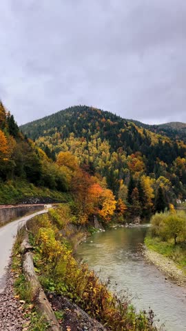  silhouettes of peaks, beautiful autumn mountain landscape, golden autumn, yellow trees and fog, layers of slopes