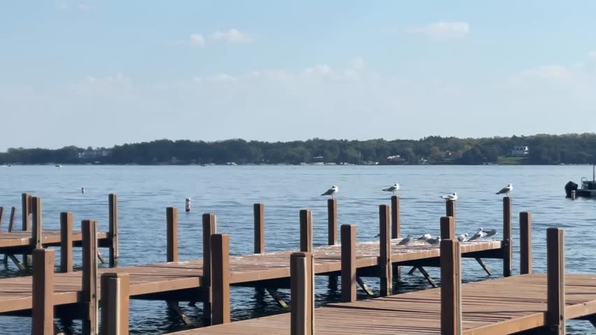 Sea Gulls Resting On Wooden Docks At Sunset In Lake Geneva, Wisconsin, United States. Static Shot