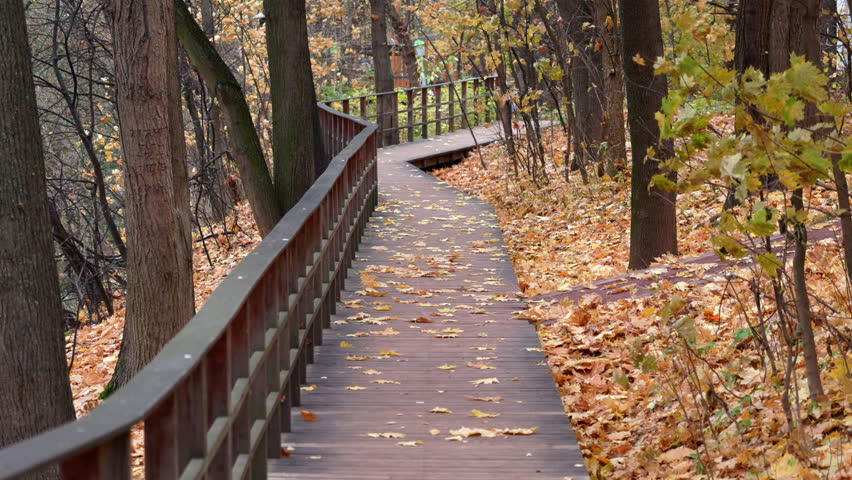A wooden path with leaves on the ground. The leaves are yellow and brown. The bridge is in a forest