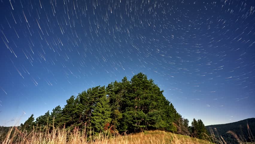 Star trails around Polaris over moonlit forest hill at night