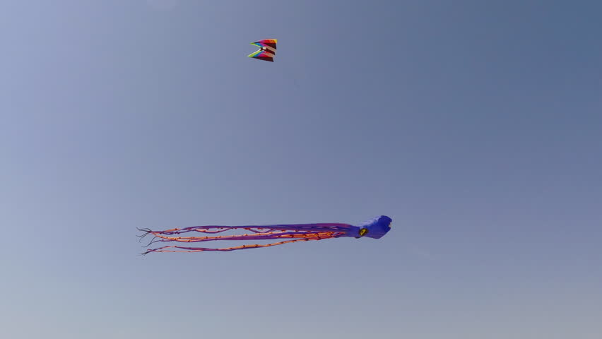 One kite in the form of octopus is flying in the blue sky and swaying in the wind during summer, Colorful kite waving on wind, Octopus shaped kite at beach festival