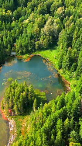 Aerial view of Lucille Lake in mountains, near Whistler, Canada
