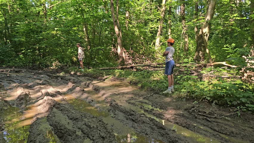 Forest muddy path from zealots, woman walking through the forest, off-road cycling, family traveling through wooded area, swampy land