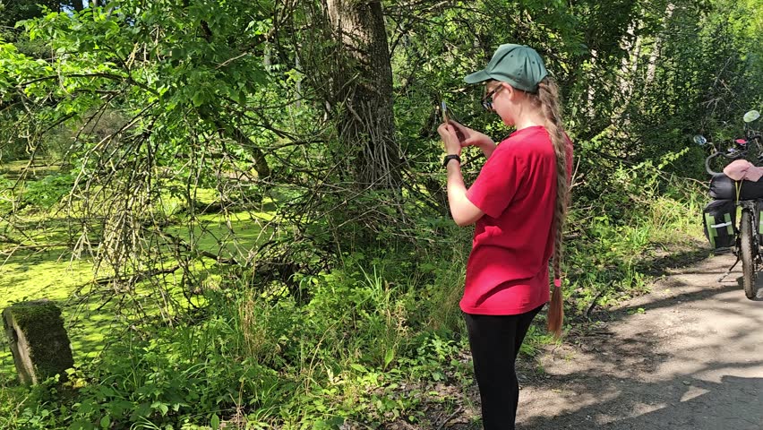 Forest muddy path from zealots, woman walking through the forest, off-road cycling, family traveling through wooded area, swampy land