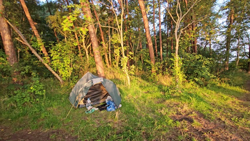 forest dirty path from zealots, woman walking through the forest, off-road cycling,