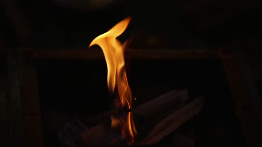 Vibrant orange flames dance and flicker dynamically in the darkness, casting a warm glow on burning logs for an intense, primal energy.