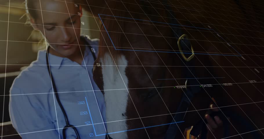 Female veterinarian entering barn placing stethoscope on horse monitoring vitals with data graphs. Veterinarian, equine, digital analytics, health monitoring, holographic interface, animal wellness