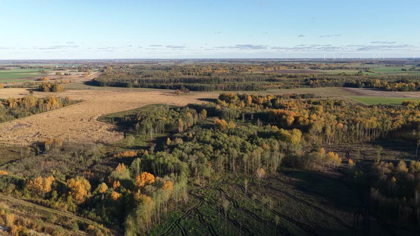 Scenic aerial panorama of mixed farmland and deciduous forest in early autumn, with visible wind turbines on the horizon under clear skies.