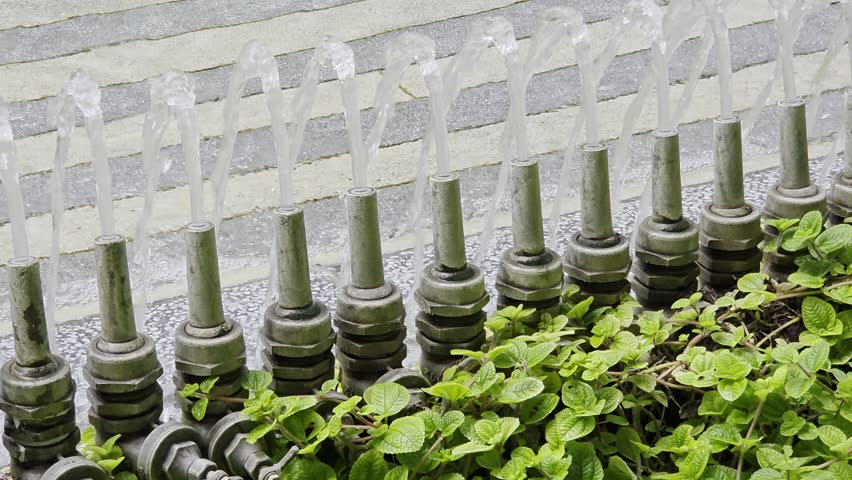 A line of metal fountain nozzles shooting continuous jets of water upward, framed by low green foliage in the foreground.