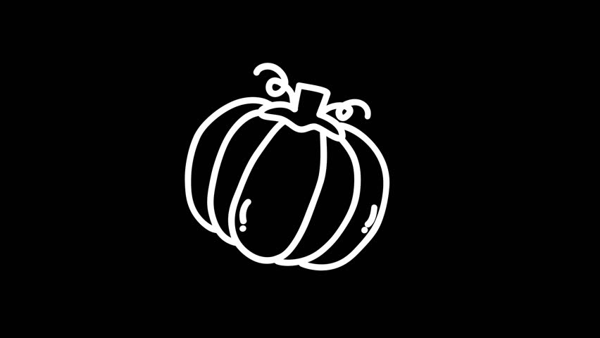Simple white outline of a pumpkin against a black background, suitable for autumn or Halloween-themed designs, ideal for loop animation or 4K video projects.
