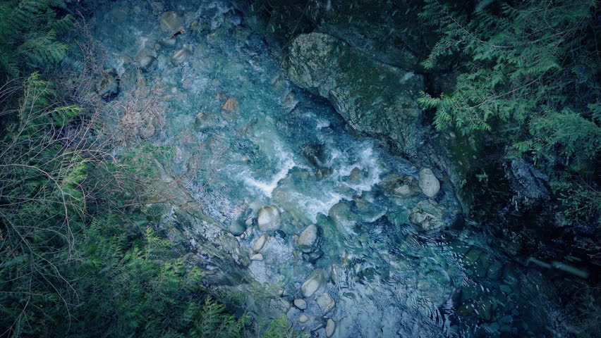 Birdseye View Of Forest River In The Rain