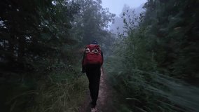 Solitary hiker with a large red backpack walking on a narrow dirt path through a mysterious, foggy forest. Trekking and exploration concept - Powered by Shutterstock - Get 15% off with code: PIKWIZARD15