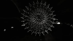 Ferrofluid experiment forming a rotating flower-like shape in dark liquid - Powered by Shutterstock - Get 15% off with code: PIKWIZARD15