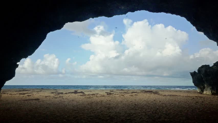 Blue Sky, Clouds and Cave Swallows (Petrochelidon fulva) Singing at Golondrinas Cave, Isabela, Puerto Rico