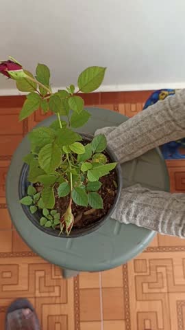 Mexican boy playing with toys and objects at home