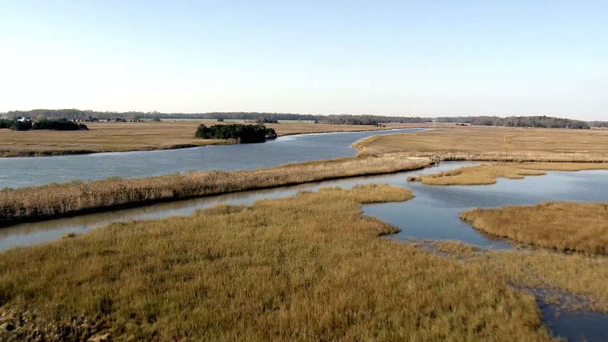Serene river flowing through golden marshlands under a clear blue sky outdoors