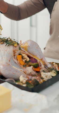 Woman, hands and sauce with turkey in kitchen for meal prep, flavor or ingredients in home. Female person, chef and stuffed chicken with butter, seasoning or marinade for food or thanksgiving dinner
