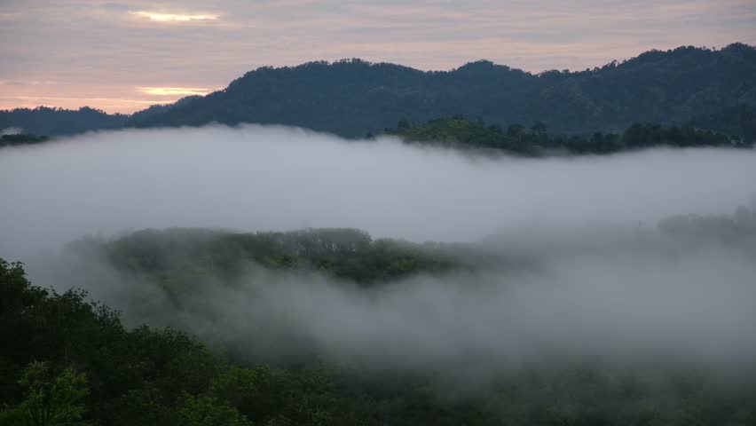 Fog flowing over forest and mountains before sunrise