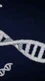 Animation of dna strands, light trails and data processing over dark background. Global science, connections, computing and data processing concept digitally generated video. - Powered by Shutterstock - Get 15% off with code: PIKWIZARD15