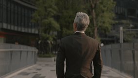 Grey haired businessman walks along paved footbridge in downtown at sunset backside view. Mature entrepreneur in formal attire radiates confidence strolling in evening city - Powered by Shutterstock - Get 15% off with code: PIKWIZARD15