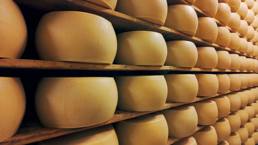 Traditional production process of Parmigiano-Reggiano hard cheese on a small dairy farm in Parma, Italy. Factory maturation room with shelves storing Parmesan cheese wheels aging for up to 5 years 