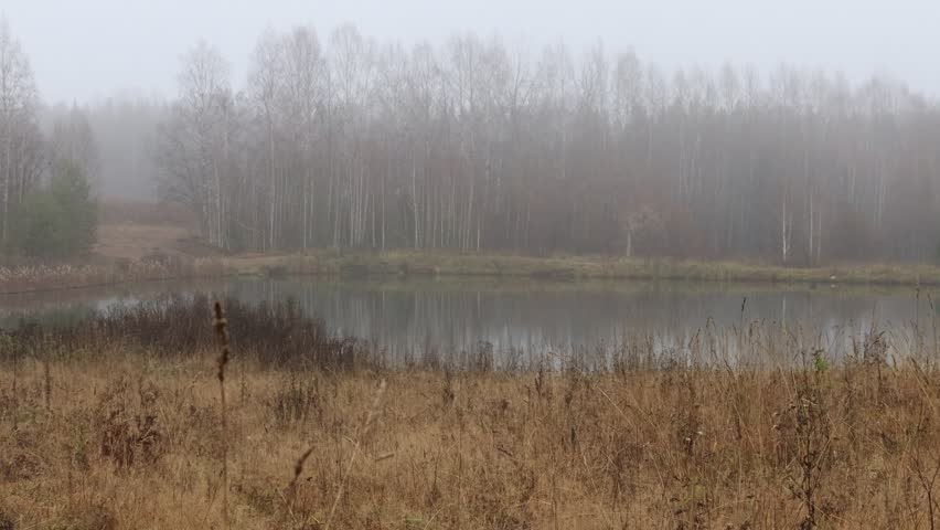 a lake in an autumn forest on a foggy morning