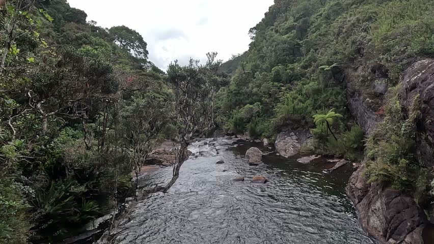 Tranquil Stream Below Baker’s Falls – Nature Landscape in Horton Plains National Park, Sri Lanka