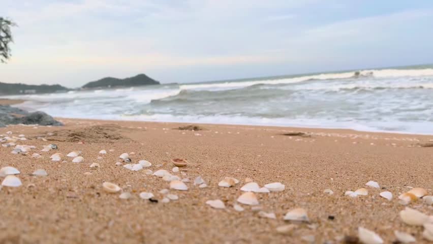 Peaceful Tropical Beach with Gentle Waves, Soft Sand, and Cloudy Sky. A tropical beach where soft waves glide gracefully over golden sand beneath a calm, cloud-streaked sky. 