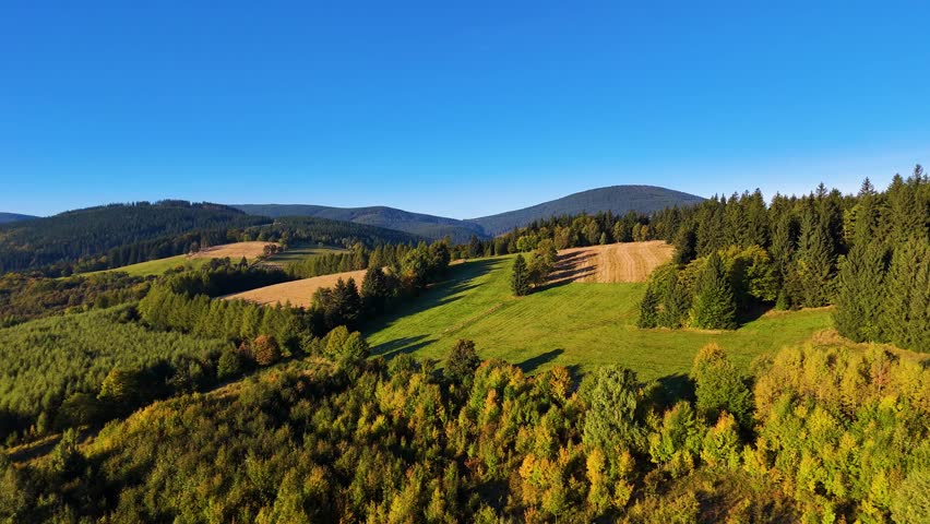 Aerial view of yellow aspen and green pine forests in early autumn in Colorado, USA. A picturesque autumn mountain landscape.