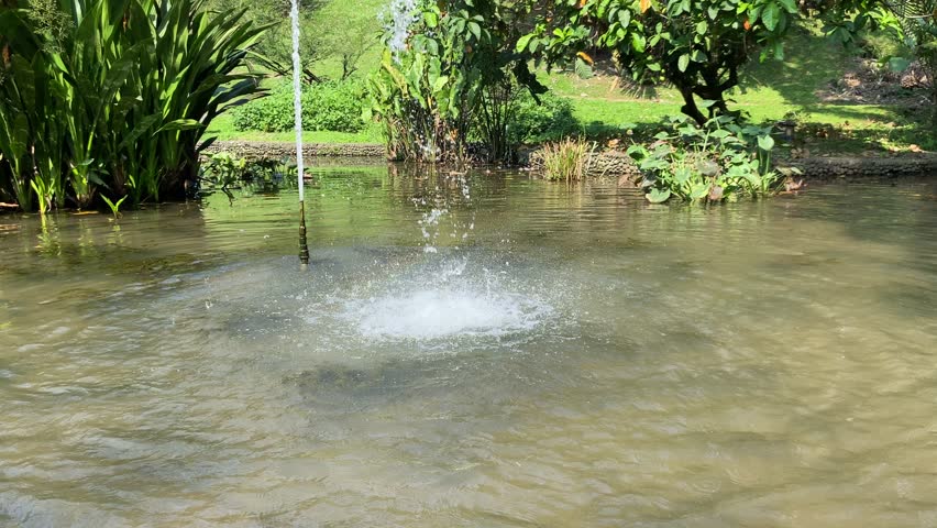 A simple fountain from a single hose in the middle of pond, at a garden