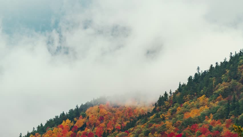 Adirondack Mountain, New York State. Aerial view of a forested hillside covered in autumnal foliage under a misty sky.