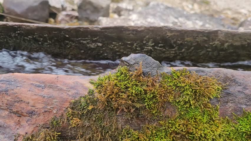 Tourism in the Putia Dolomites in Europe