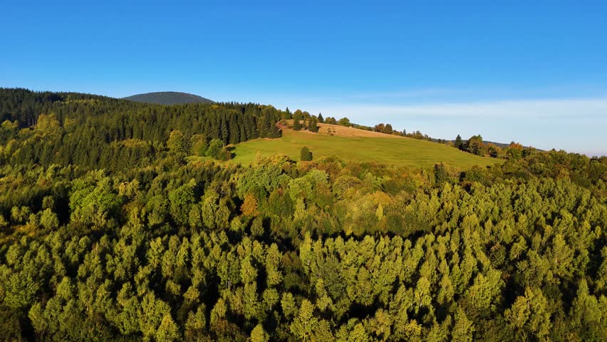 A drone flies over a pine forest in the mountains of Redwood National Park, California, USA. A picturesque autumn forested mountain range. Morning forest landscape, 4K video.