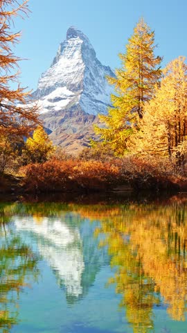 Matterhorn Mountain and Yellow Larches in Autumn on Sunny Day. Reflection in Lake Grindjisee. Swiss Alps. Valais, Switzerland. Vertical Video. Medium Shot