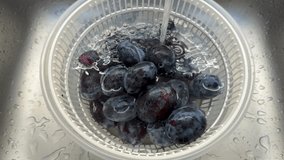 Fresh blueberries being washed, water droplets glistening on the surface, evokes a refreshing and healthy lifestyle vibe, perfect for summer recipes or wellness themes - Powered by Shutterstock - Get 15% off with code: PIKWIZARD15