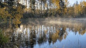 Misty autumn morning by a calm forest lake after a cold night. Frost melts from trees, droplets fall, and gentle fog drifts across still water in sunrise light. Peaceful panoramic  scene. Finland - Powered by Shutterstock - Get 15% off with code: PIKWIZARD15