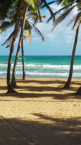 Pristine and bounty tropical coastline with coconut palm trees and azure caribbean sea. Beautiful landscape. Aerial view from drone. Vertical footage