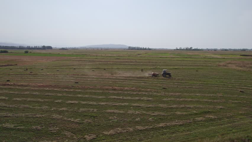 Tractor uses trailed bale machine to collect straw in field. Haymaking. Tractor collecting hay and making hay bales. Haystack making machine. Tractor Working on Farm at Sunset Time.