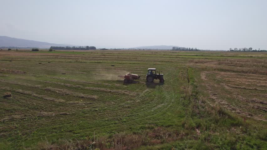 Farmer is picking hay bales with tractor at the sunset. Products are made of animal feed.