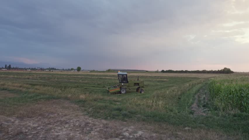 Tractor with hay tedder collects straw in rows in harvested wheat field for packs it into bales. Work in agronomic farm for making business and production organic eco bio animal feed