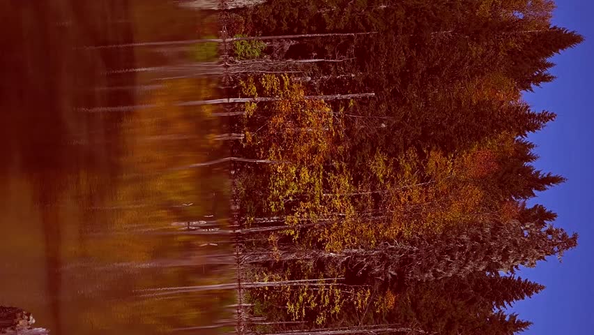 Scenic view of Borçka Karagöl surrounded by colorful autumn trees, reflected on the calm lake surface. Located in Artvin, Turkey, this natural beauty is a popular travel destination during fall season
