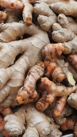 Roots of ginger, alternative medicine concept. Rotating. Vertical footage