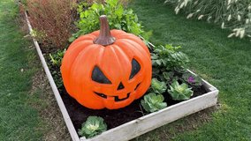 large plastic Halloween pumpkin painted black as Jack-o’-lantern. Bright orange, festive spooky decor, cinematic autumn scene, perfect for seasonal display or Halloween backdrop - Powered by Shutterstock - Get 15% off with code: PIKWIZARD15