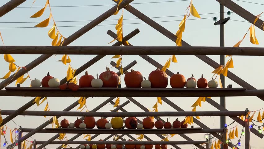 Colorful decorative pumpkins arranged on wooden beams of autumn fair roof for Halloween. Cinematic festive display, vibrant seasonal harvest decor, rustic Halloween market scene