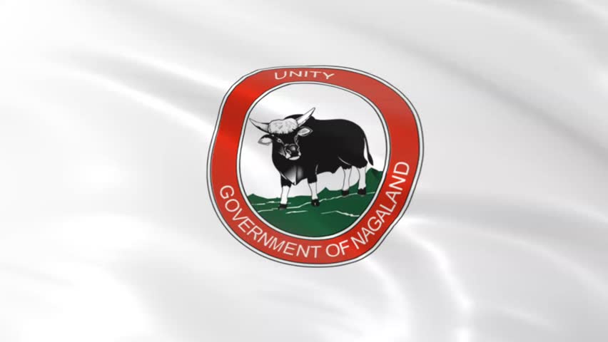 emblem flag of Nagaland, India state flag background